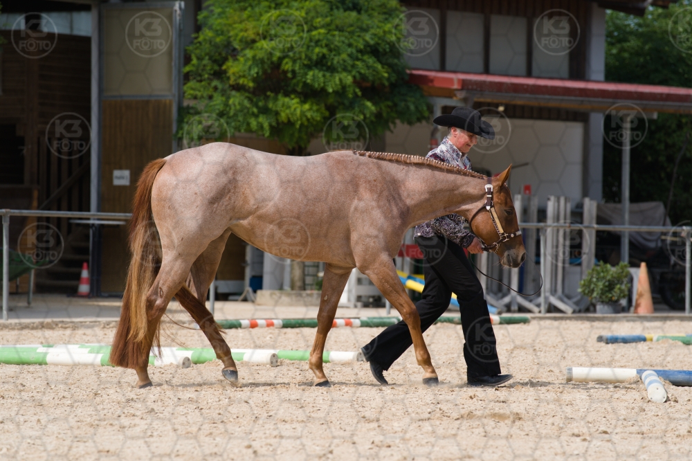 s_batch_A9_00040.jpg